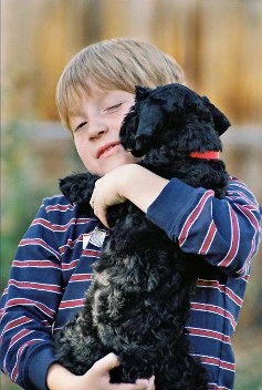 Puppy Love Puppy Love