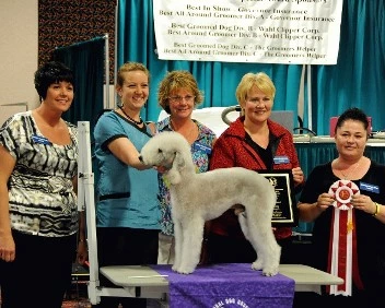 Velvety Quarterback Sneak (Peyton) at Grooming Competition Velvety Quarterback Sneak (Peyton) at Grooming Competition